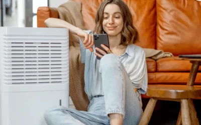 When It’s Hot in Arnold, This Is What Homeowners Are Doing to Stay Cool